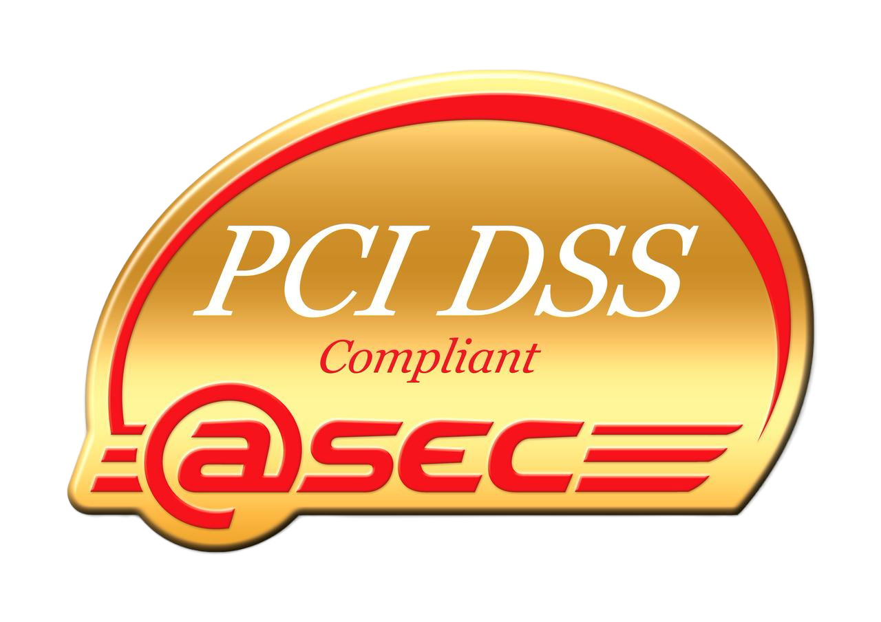 PCI DSS